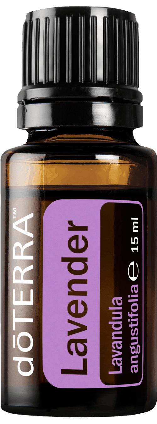 Лавандула (Lavender)