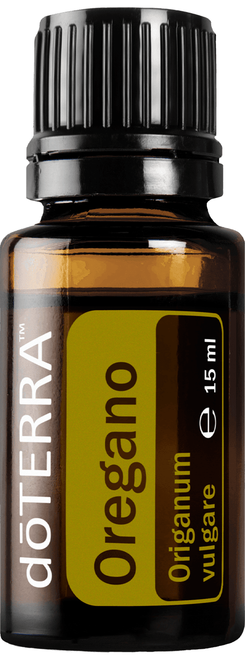 Риган (Oregano)