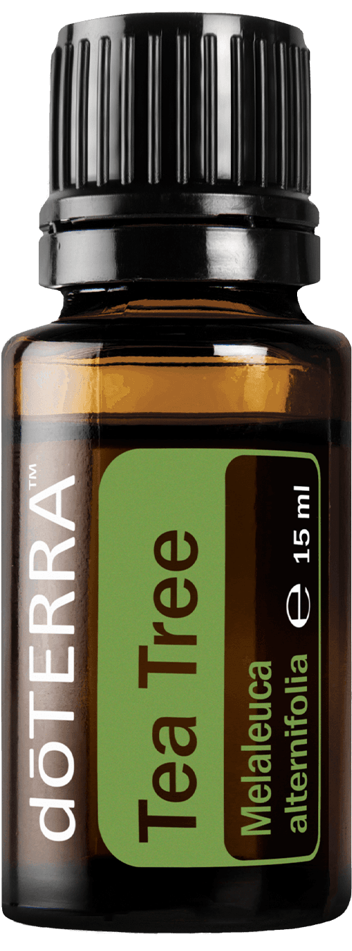 Чаено дърво (Tea tree)